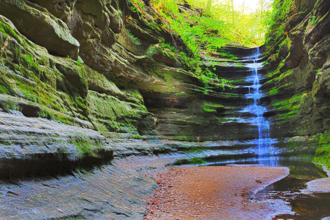 Starved Rock & Ottawa Retreat Amazing Getaway Home 외부 사진